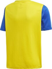 Treenipaita Adidas Estro 19 Jersey Junior, keltainen, 128 cm hinta ja tiedot | Jalkapallovaatteet ja -varusteet | hobbyhall.fi