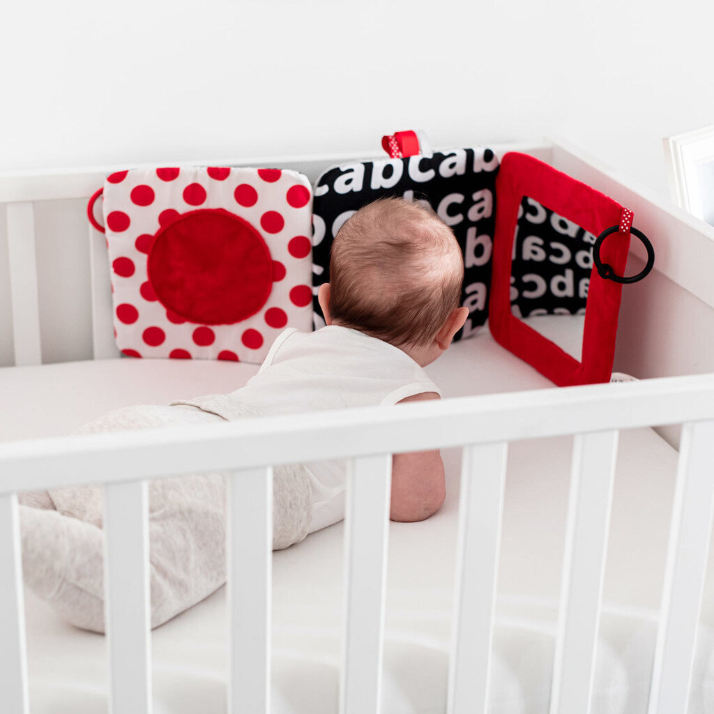 Vauvan pehmeä lelu Canpol babies hinta ja tiedot | Vauvan lelut | hobbyhall.fi