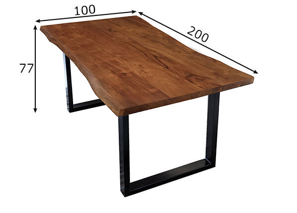 Ruokapöytä Tische, 200 x 100, musta hinta ja tiedot | Ruokapöydät | hobbyhall.fi