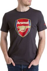 Puma T-paita Afc Fan Tee - Crest Q3 Grey hinta ja tiedot | Miesten T-paidat | hobbyhall.fi