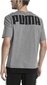 Puma T-paita Rebel Tee Grey Black hinta ja tiedot | Miesten T-paidat | hobbyhall.fi