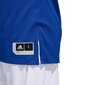 Adidas Koripallo T-paita Rev Crzy Expl Blue White hinta ja tiedot | Miesten T-paidat | hobbyhall.fi