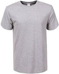 Glo Story T-paita Grey hinta ja tiedot | Miesten T-paidat | hobbyhall.fi
