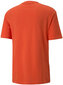 Puma T-paita Reflective Graphic Tee Orange hinta ja tiedot | Miesten T-paidat | hobbyhall.fi