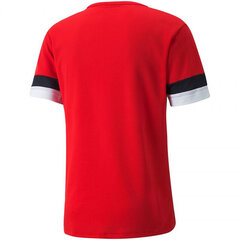 Puma T-paita TeamRise Jersey Red 704932 01 hinta ja tiedot | Miesten T-paidat | hobbyhall.fi