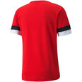 Puma T-paita TeamRise Jersey Red 704932 01