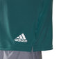 Adidas T-paita Run Tee M Mint HB7475 hinta ja tiedot | Miesten T-paidat | hobbyhall.fi