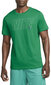 Nike T-paita M Nk Df Tee 6/1 Gfx Green DM6255 365 hinta ja tiedot | Miesten T-paidat | hobbyhall.fi