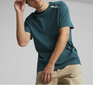 Puma T-paita Rad/Cal Tee Varsity Green 849777 24 hinta ja tiedot | Miesten T-paidat | hobbyhall.fi