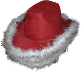 Karnevaalityylinen cowboy hattu hinta ja tiedot | Naamiaisasut | hobbyhall.fi