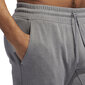 Adidas Housut Cu 365 Pants Grey hinta ja tiedot | Miesten urheiluvaatteet | hobbyhall.fi