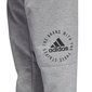 Adidas Housut Sid Pants Grey hinta ja tiedot | Miesten urheiluvaatteet | hobbyhall.fi