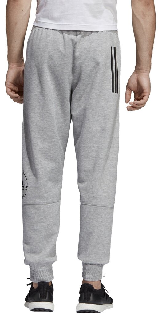 Adidas Housut Sid Pants Grey hinta ja tiedot | Miesten urheiluvaatteet | hobbyhall.fi