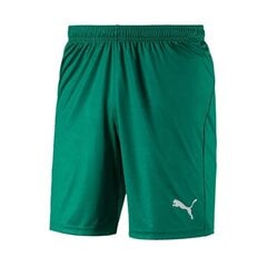 Puma Shortsit Liga Shorts Core Pepper Green hinta ja tiedot | Miesten urheiluvaatteet | hobbyhall.fi