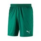 Puma Shortsit Liga Shorts Core Pepper Green hinta ja tiedot | Miesten urheiluvaatteet | hobbyhall.fi