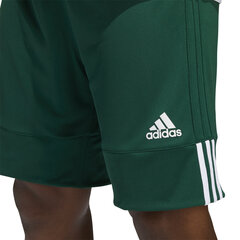 Adidas Koripallo Shortsit 3g Spee Rev Shorts Green White hinta ja tiedot | Miesten urheiluvaatteet | hobbyhall.fi