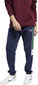 Reebok Housut Cl F Linear Pant Blue hinta ja tiedot | Miesten urheiluvaatteet | hobbyhall.fi