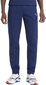 Puma Housut Evostripe Pants Blue hinta ja tiedot | Miesten urheiluvaatteet | hobbyhall.fi