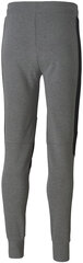 Puma Housut Bmw Mms Sweat Pants Grey 598002 03 hinta ja tiedot | Miesten urheiluvaatteet | hobbyhall.fi