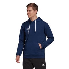 Adidas huppari Ent22 Hoody Blue H57513 hinta ja tiedot | Miesten urheiluvaatteet | hobbyhall.fi