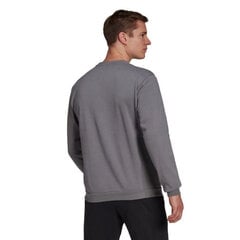 Adidas pusero Ent22 Sweat Top Grey H57479 hinta ja tiedot | Miesten urheiluvaatteet | hobbyhall.fi