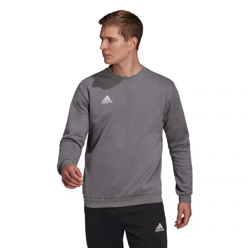 Adidas pusero Ent22 Sweat Top Grey H57479 hinta ja tiedot | Miesten urheiluvaatteet | hobbyhall.fi