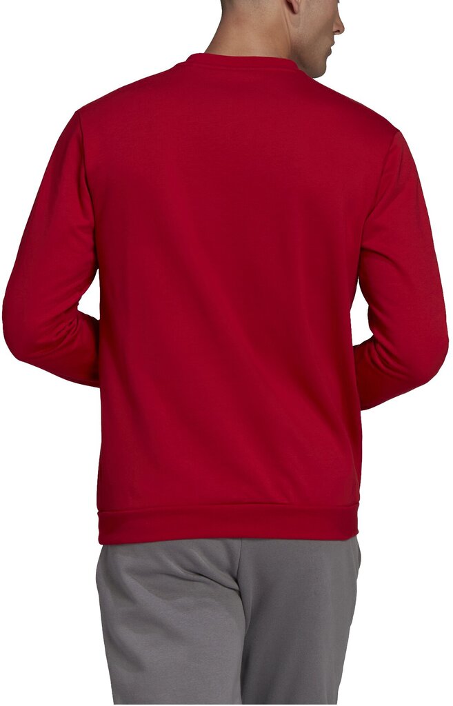 Adidas college Ent22 Sweat Top Red HB0577 hinta ja tiedot | Miesten urheiluvaatteet | hobbyhall.fi