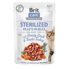 Brit Care Jelly Sterilized -märkäruokapakkaus aikuisille steriloiduille kissoille, ankka ja kalkkuna, 24 x 85 g hinta ja tiedot | Kissanruoka | hobbyhall.fi