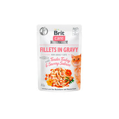 Brit Care Fillets -märkäruokapakkaus aikuiselle kissalle, kalkkuna ja lohi, 24 x 85 g hinta ja tiedot | Kissanruoka | hobbyhall.fi