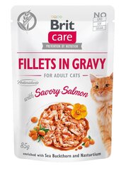 Brit Care Fillets -märkäruokapakkaus aikuiselle kissalle, lohi, 24 x 85 g hinta ja tiedot | Kissanruoka | hobbyhall.fi