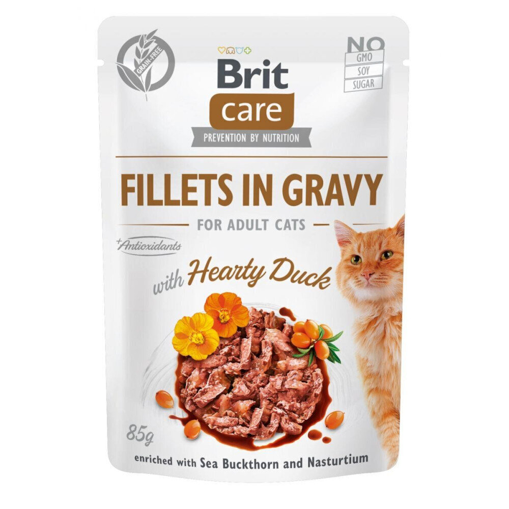 Brit Care Fillets -märkäruokapakkaus aikuiselle kissalle, ankka, 24 x 85 g hinta ja tiedot | Kissanruoka | hobbyhall.fi