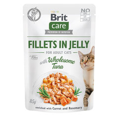 Brit Care Fillets in Jelly -märkäruokapakkaus aikuiselle kissalle, tonnikala, 24 x 85 g hinta ja tiedot | Kissanruoka | hobbyhall.fi