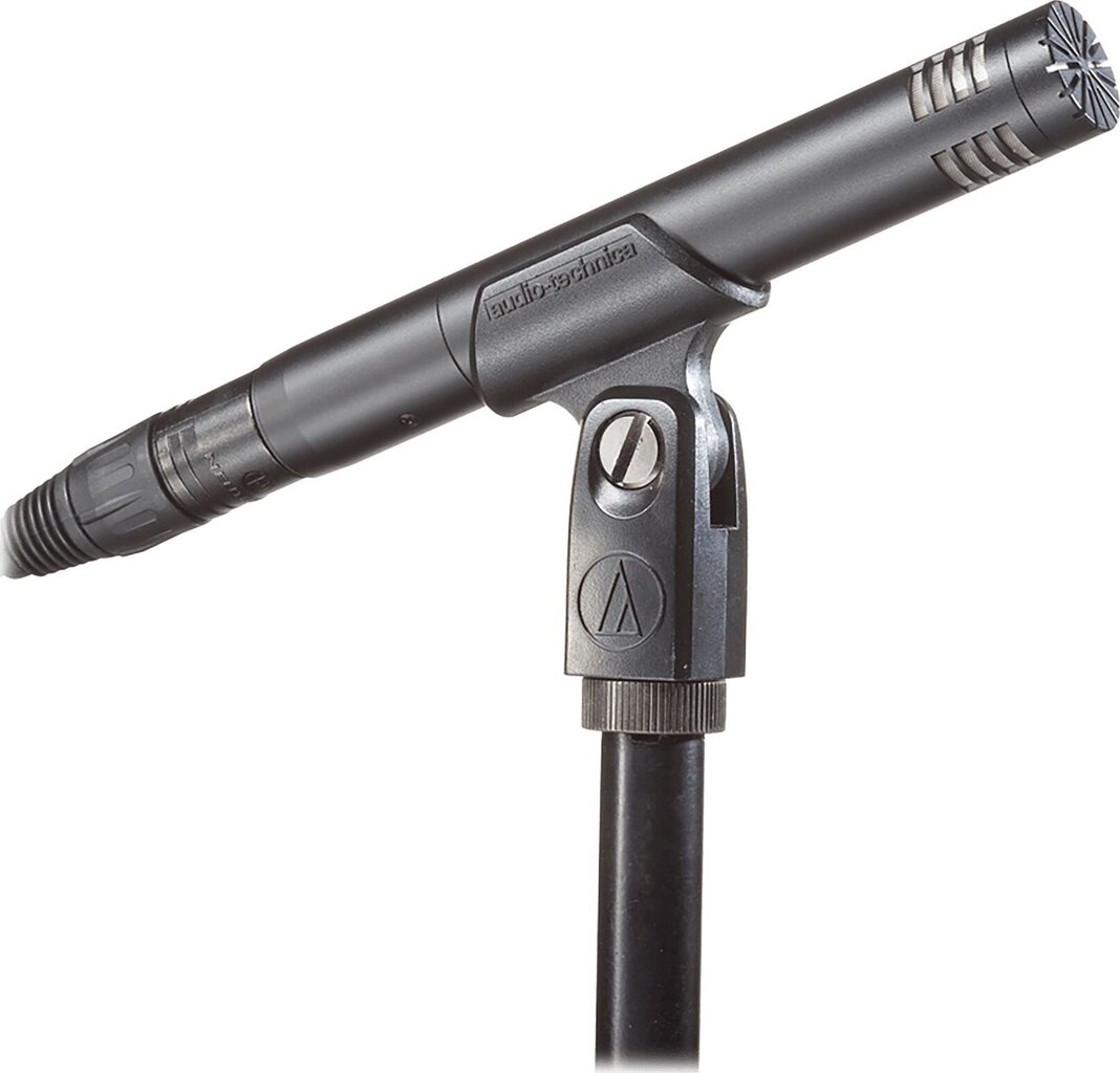Kondensaattorimikrofoni Audio Technica AT2031 hinta ja tiedot | Mikrofonit | hobbyhall.fi