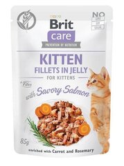 Brit Care Jelly Kitten -märkäruokapakkaus kissanpennuille, lohifilee, 24 x 85 g hinta ja tiedot | Kissanruoka | hobbyhall.fi