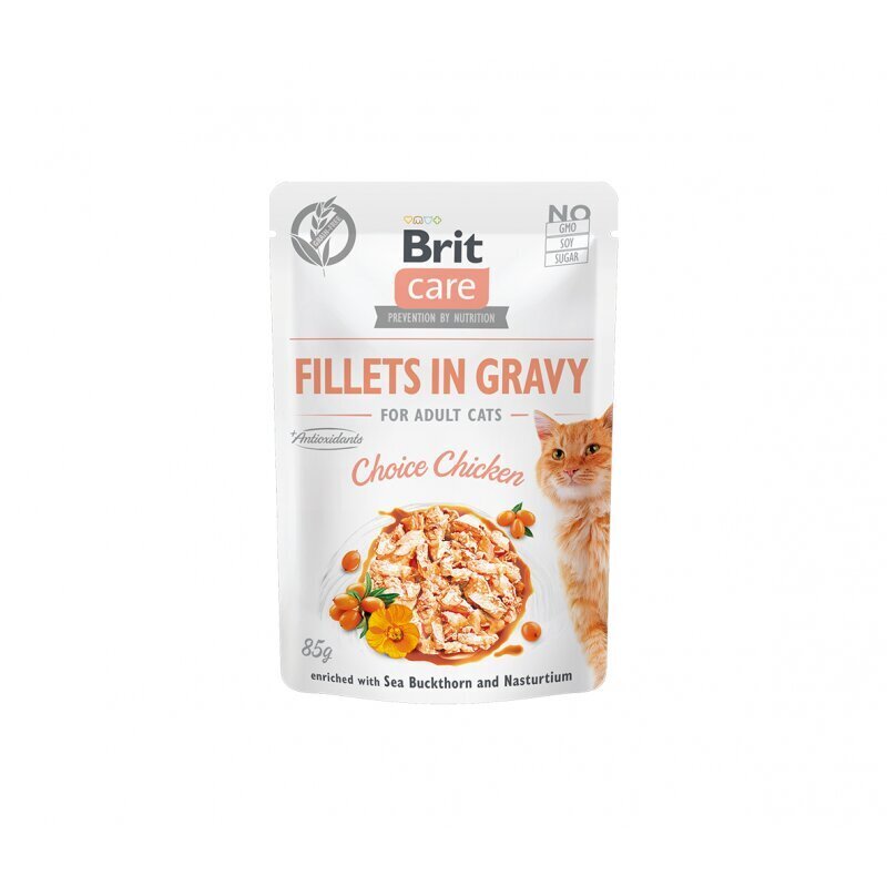 Brit Care Fillets in Gravy -märkäruokapakkaus aikuiselle kissalle, kana, 24 x 85 g hinta ja tiedot | Kissanruoka | hobbyhall.fi