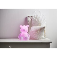 Nalle Polly, värinvaihto, 2kpl RGB LED-lamppuja, 18x14cm hinta ja tiedot | Star Trading Huonekalut ja sisustus | hobbyhall.fi