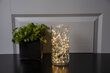 Valoketju Dewdrops 100 LED lämmin valo, pituus 5m, virtalähde, sisäkäyttöön, IP20 hinta ja tiedot | Jouluvalot | hobbyhall.fi