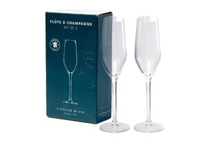Atelier Du Vin samppanjalasit 160 ml -2 kpl setti/6 hinta ja tiedot | Lasit, mukit ja kannut | hobbyhall.fi