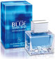 Antonio Banderas Blue Seduction EDT miehille 50 ml hinta ja tiedot | Miesten hajuvedet | hobbyhall.fi