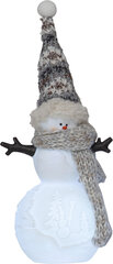 Lumiukon harmaa 22cm, 1 värillinen LED, paristokäyttöinen hinta ja tiedot | Joulukoristeet | hobbyhall.fi