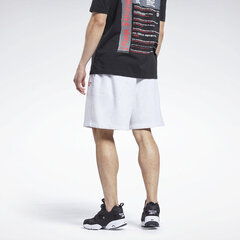 Reebok miesten shortsit Human Rights Now HE2101-S hinta ja tiedot | Miesten shortsit | hobbyhall.fi