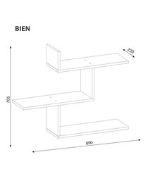 Seinähylly Kalune Design Bien, ruskea hinta ja tiedot | Hyllyt | hobbyhall.fi