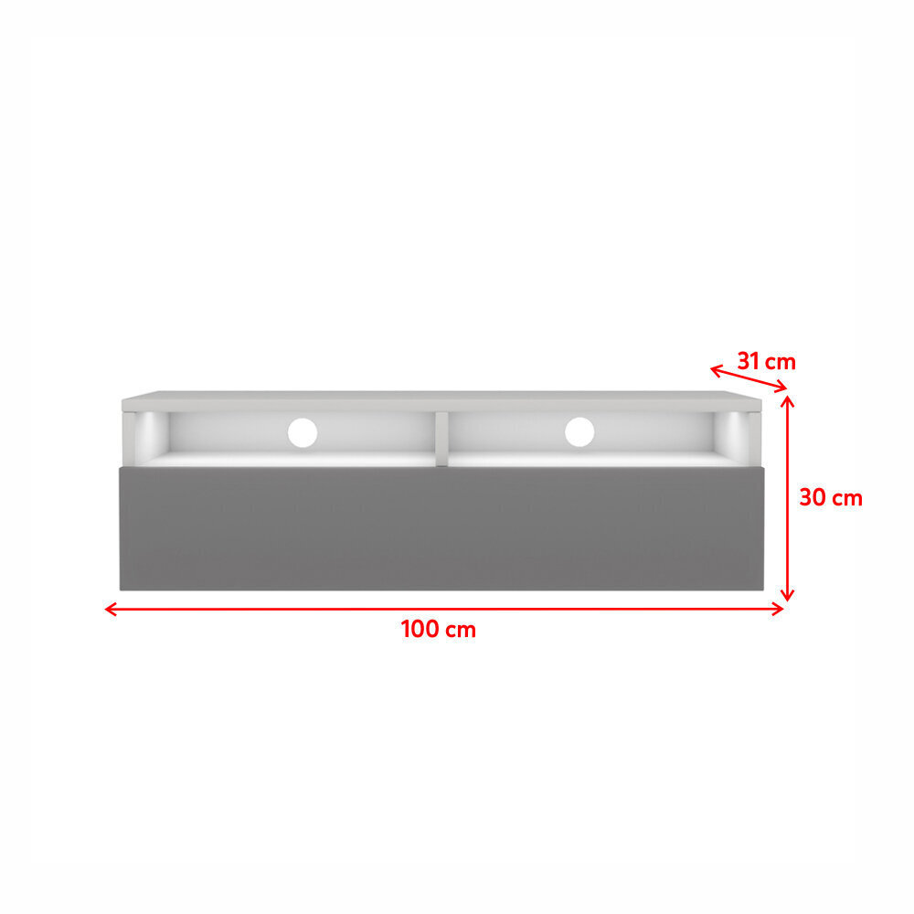 TV-taso Selsey Rednaw 100 LED, harmaa/valkoinen hinta ja tiedot | TV-tasot | hobbyhall.fi