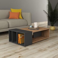 Sohvapöytä Kalune Design 855, ruskea/tummanharmaa hinta ja tiedot | Sohvapöydät | hobbyhall.fi