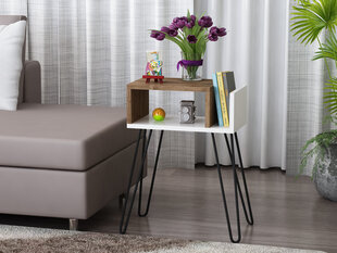 Sohvapöytä Kalune Design 756(I), valkoinen/ruskea hinta ja tiedot | Sohvapöydät | hobbyhall.fi