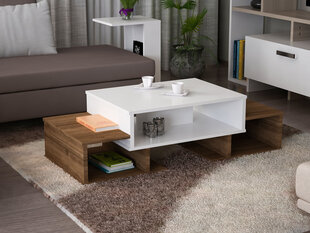 Sohvapöytä Kalune Design, 756, valkoinen/ruskea hinta ja tiedot | Sohvapöydät | hobbyhall.fi