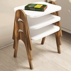 3-osainen sohvapöytäsarja Kalune Design 845, valkoinen/ruskea hinta ja tiedot | Sohvapöydät | hobbyhall.fi