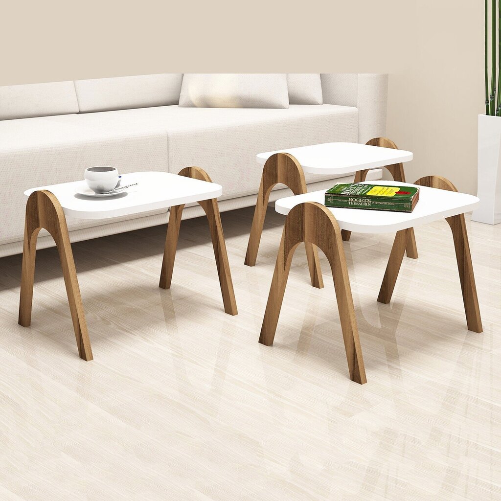 3-osainen sohvapöytäsarja Kalune Design 845, valkoinen/ruskea hinta ja tiedot | Sohvapöydät | hobbyhall.fi