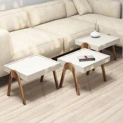 3-osainen sohvapöytäsetti Kalune Design 845(I), beige/ruskea hinta ja tiedot | Sohvapöydät | hobbyhall.fi