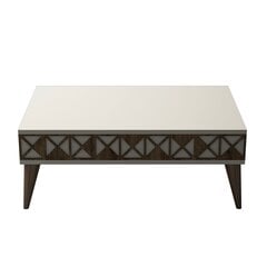 Sohvapöytä Kalune Design 845, valkoinen/ruskea hinta ja tiedot | Sohvapöydät | hobbyhall.fi